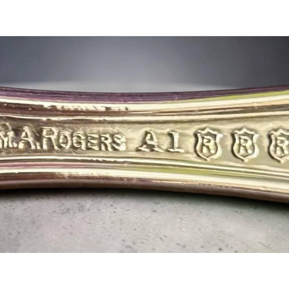 Wm A Rogers Vintage Grapes Silverplate Sugar Shell Spoon Ornate 1904 Pattern A1